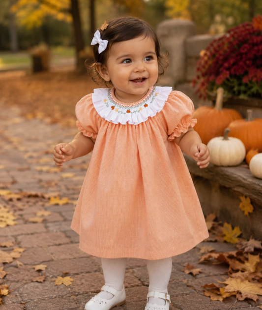 Petit Ami Smocked Bishop Dress - Pumpkins